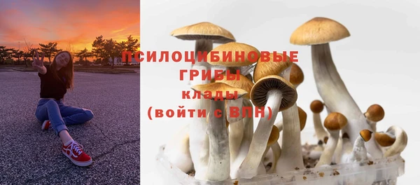 шишки Абинск